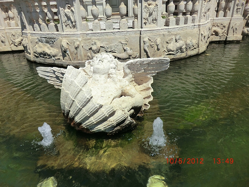 CIMG3234.JPG