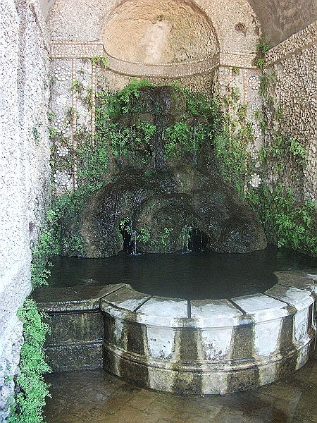 DSCF1796.JPG