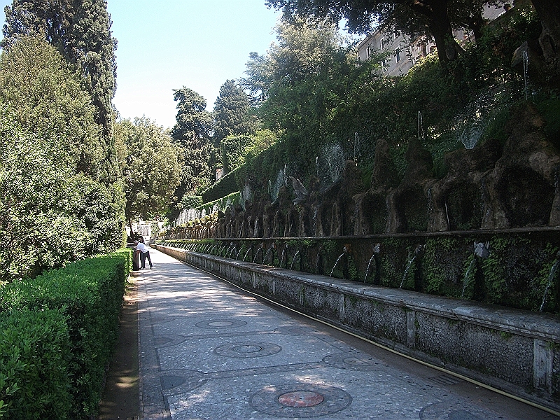 DSCF1797.JPG