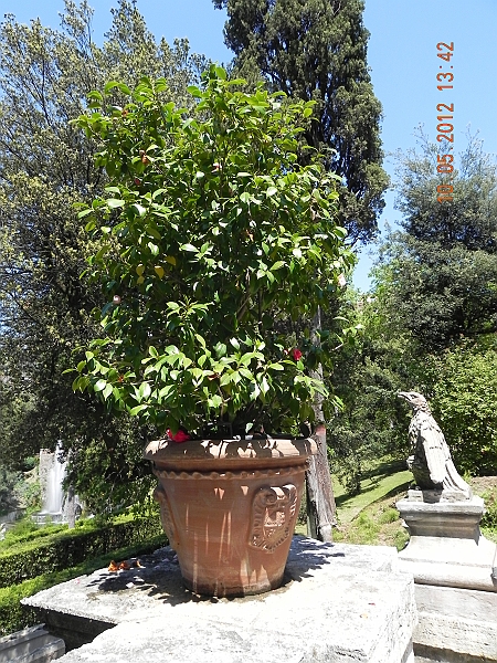 DSCN1332.JPG