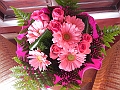 DSCN4545