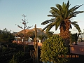DSCN3962