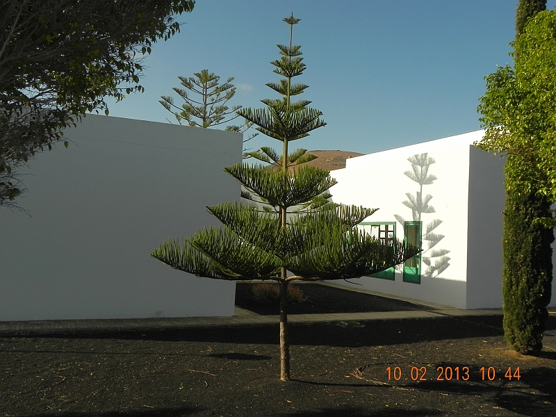 DSCN3976.jpg