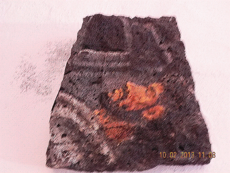 DSCN3998.jpg