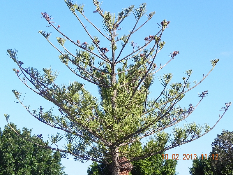 DSCN4006.jpg