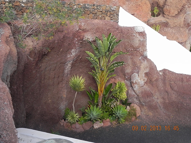 DSCN3939.jpg