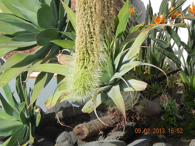 DSCN3949.jpg