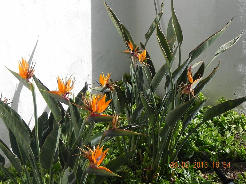 DSCN3953.jpg