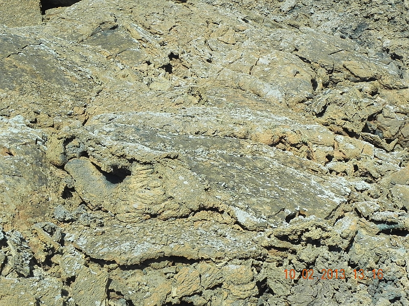 DSCN4030.jpg