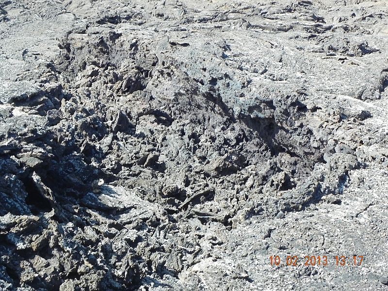 DSCN4036.jpg