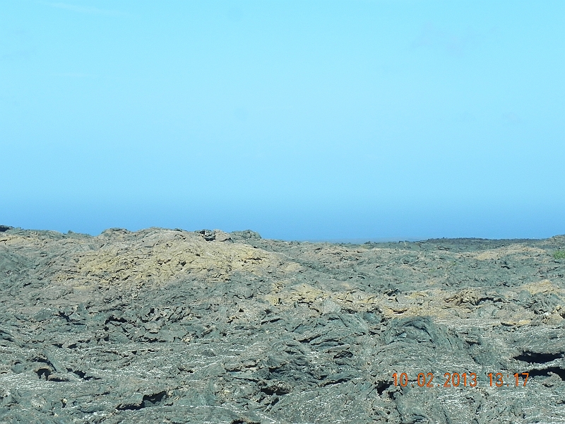 DSCN4037.jpg