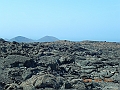 DSCN4033