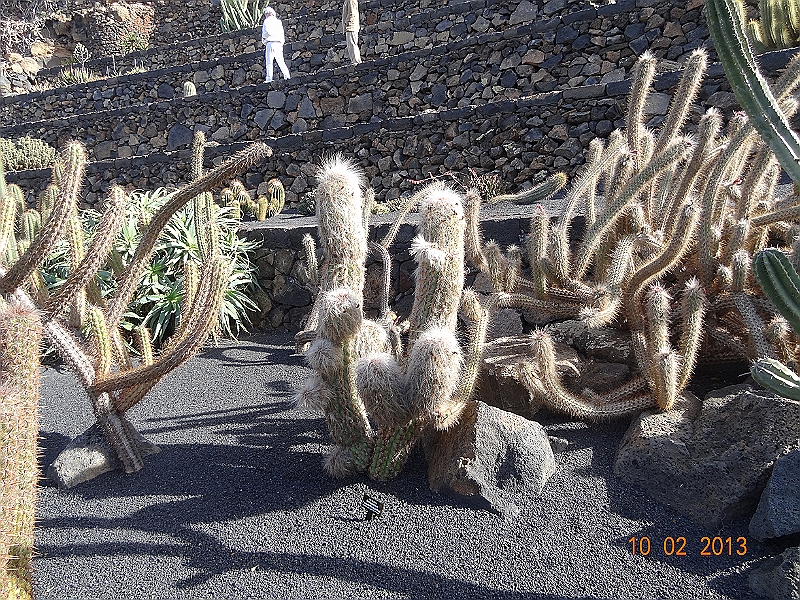 DSC00348.JPG