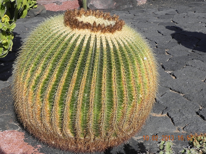 DSCN4160.jpg