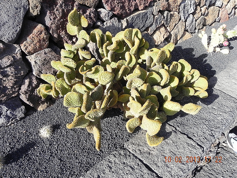 DSCN4183.jpg