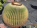 DSCN4160