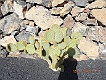 DSCN4180