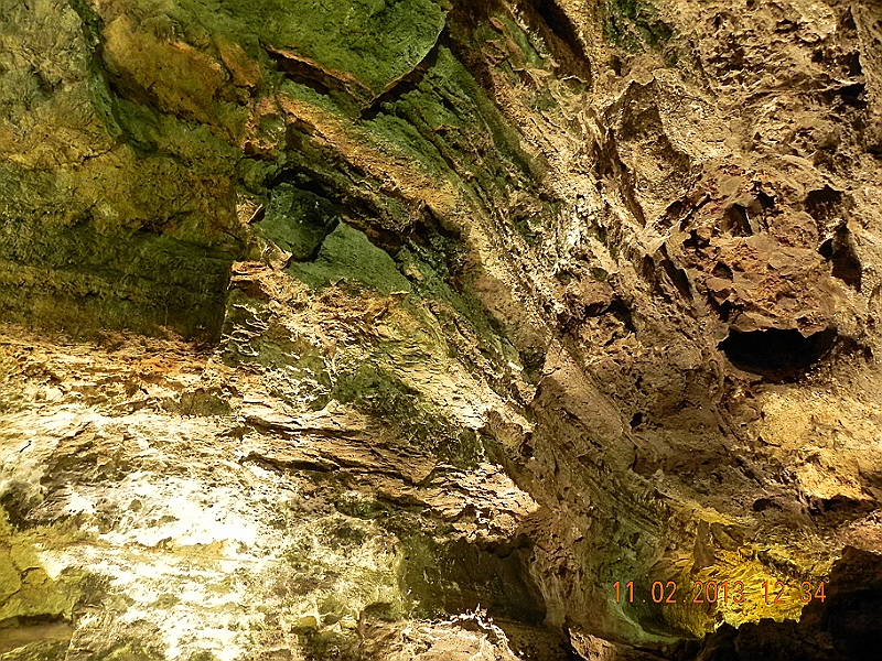 DSCN4280.jpg