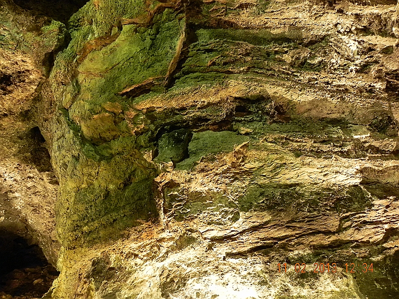 DSCN4281.jpg