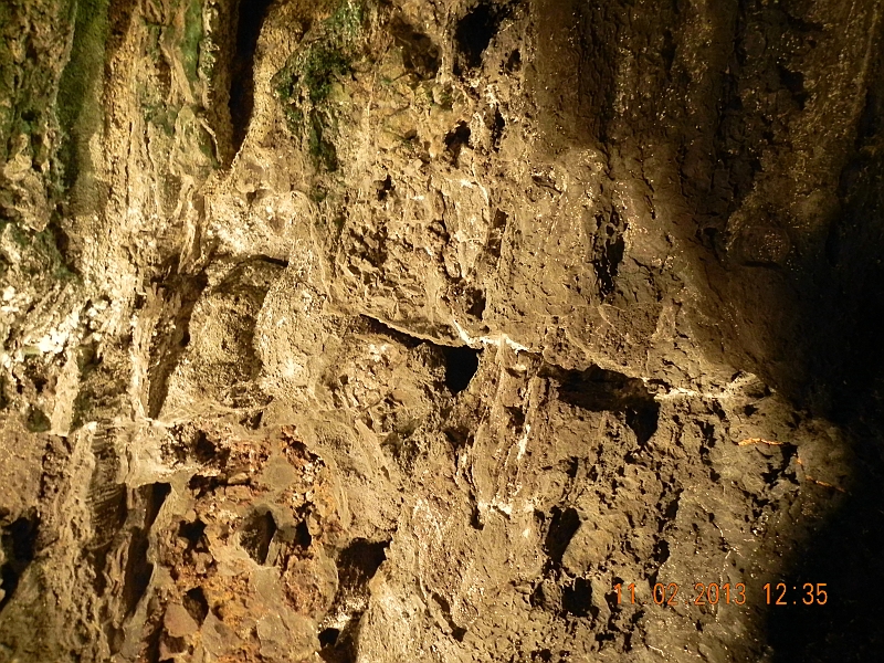 DSCN4283.jpg
