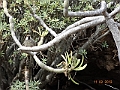 DSC00403