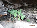 DSC00405