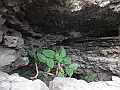 DSCN4266