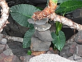 DSCN4269