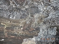 DSCN4277