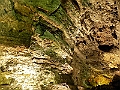 DSCN4280