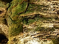 DSCN4281