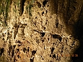 DSCN4283