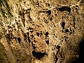 DSCN4285