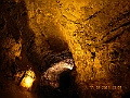 DSCN4308