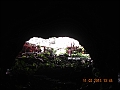 DSCN4316