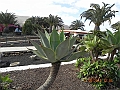 DSCN4426