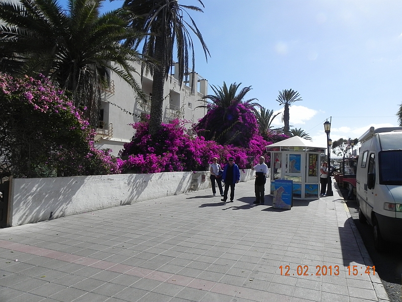 DSCN4433.jpg