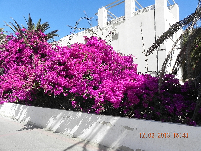 DSCN4438.jpg