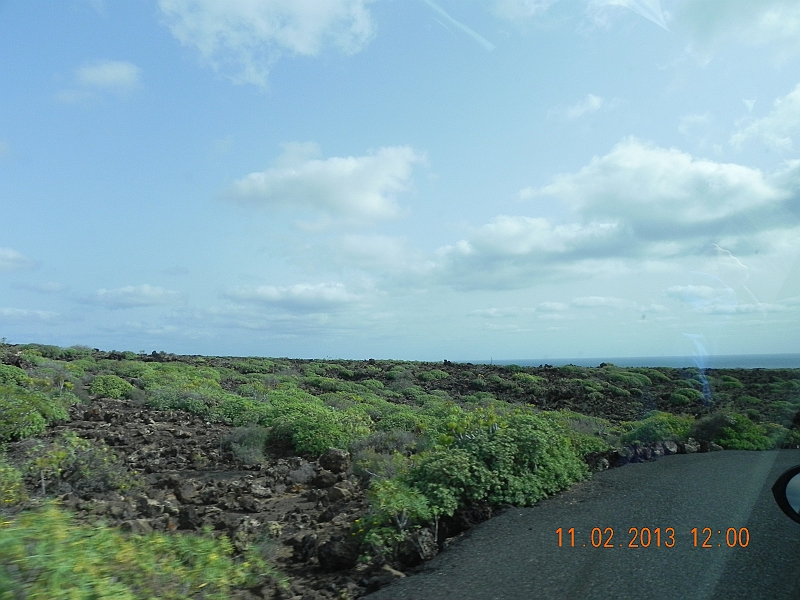 DSCN4263.jpg