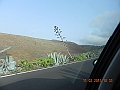 DSCN4207