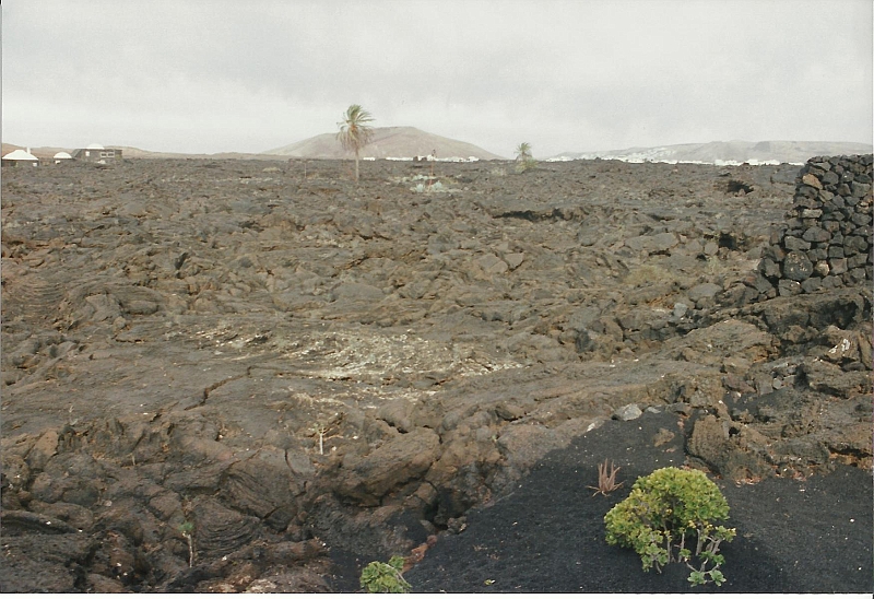 Lanzarote1997-021.jpg
