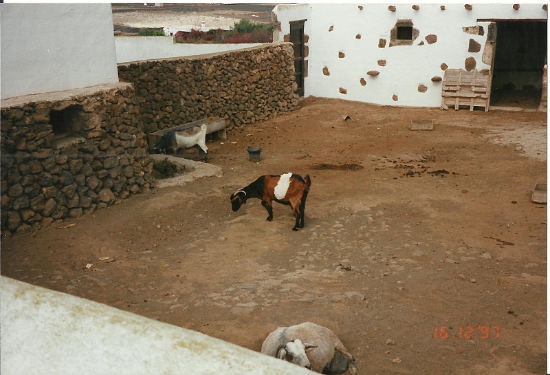 Lanzarote1997-098.jpg