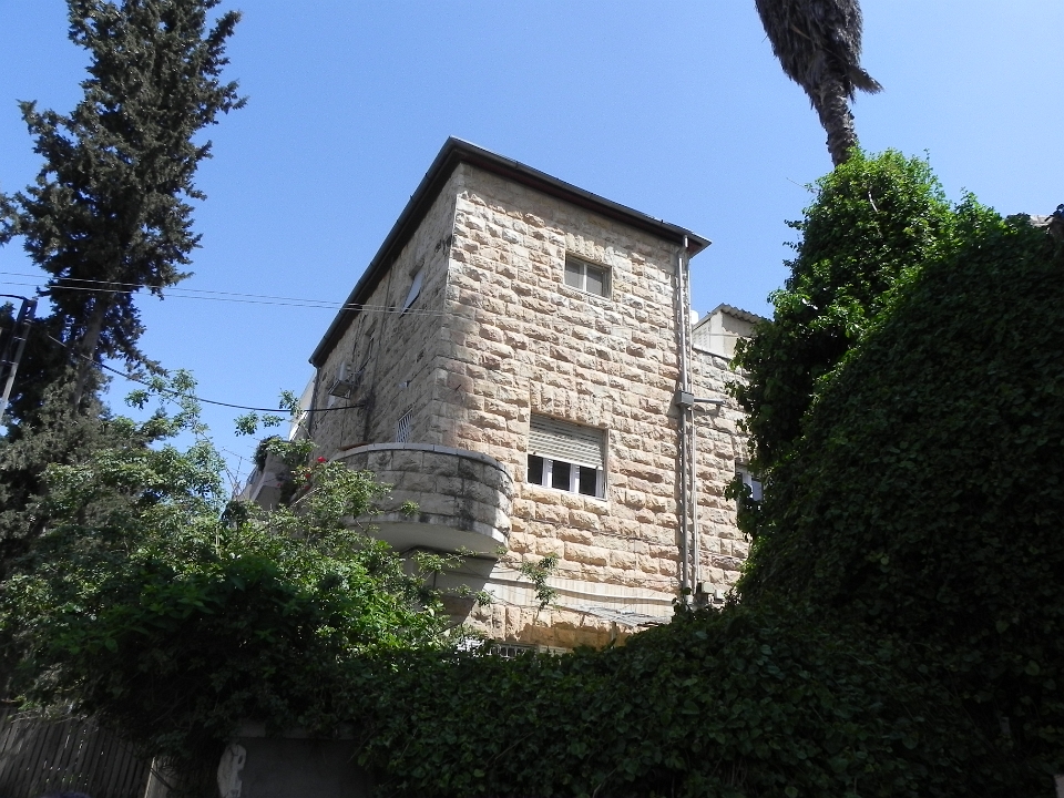 DSCN8658