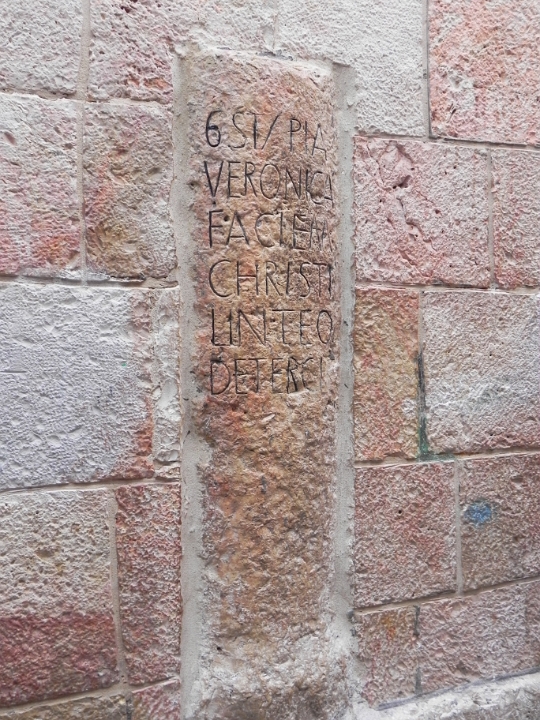 DSCN8548