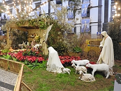 DSCN0937