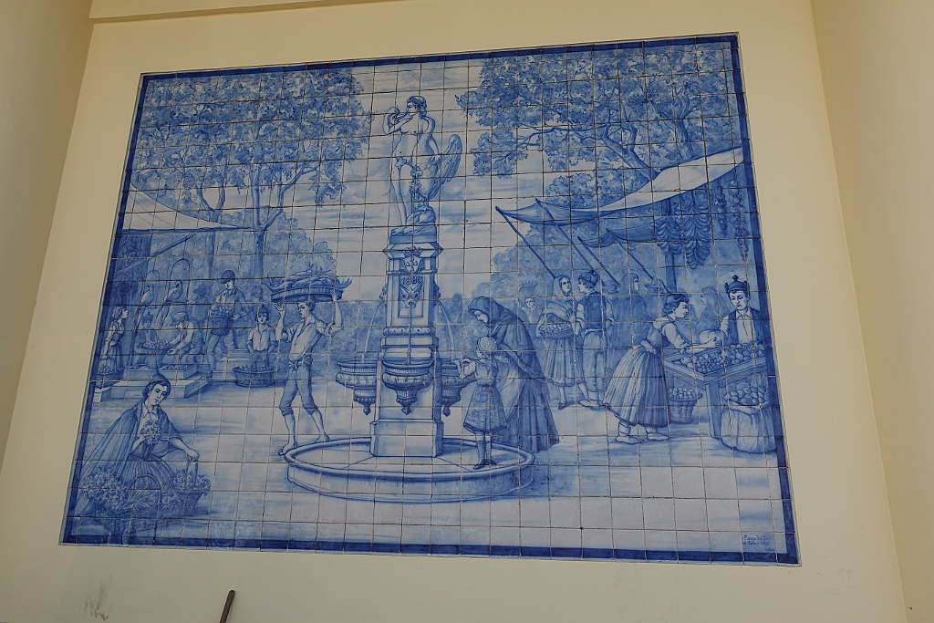 DSC07517.JPG