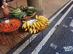DSCN0550