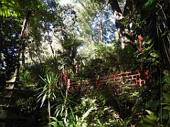 DSCN1045