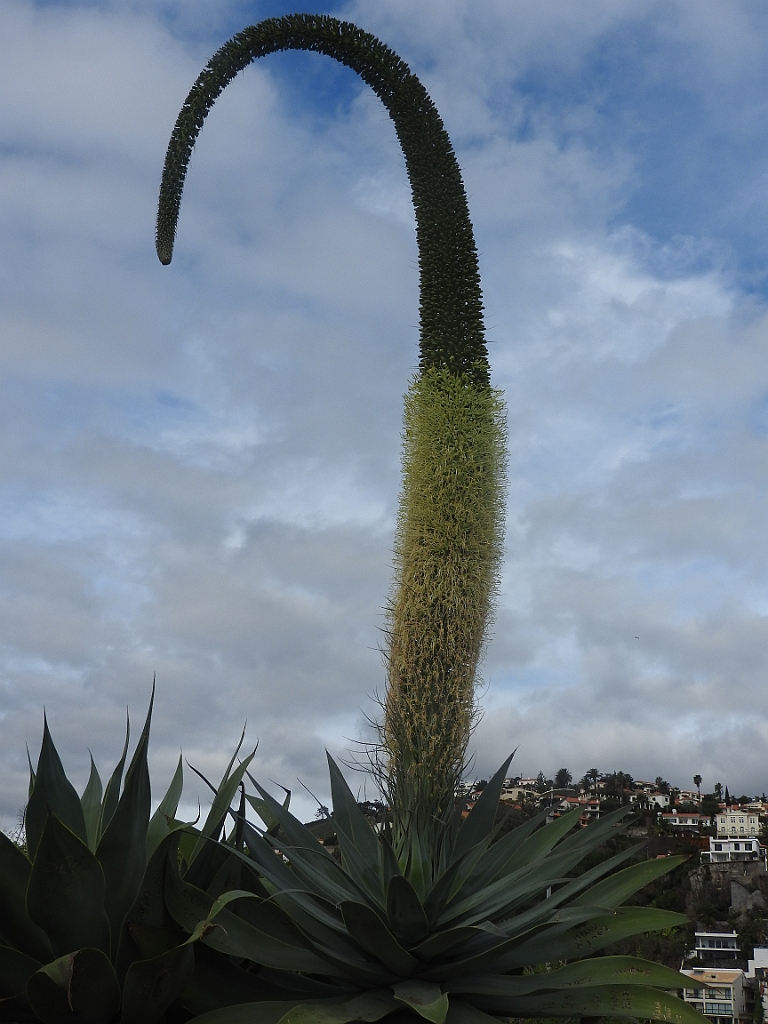 DSCN0903.JPG