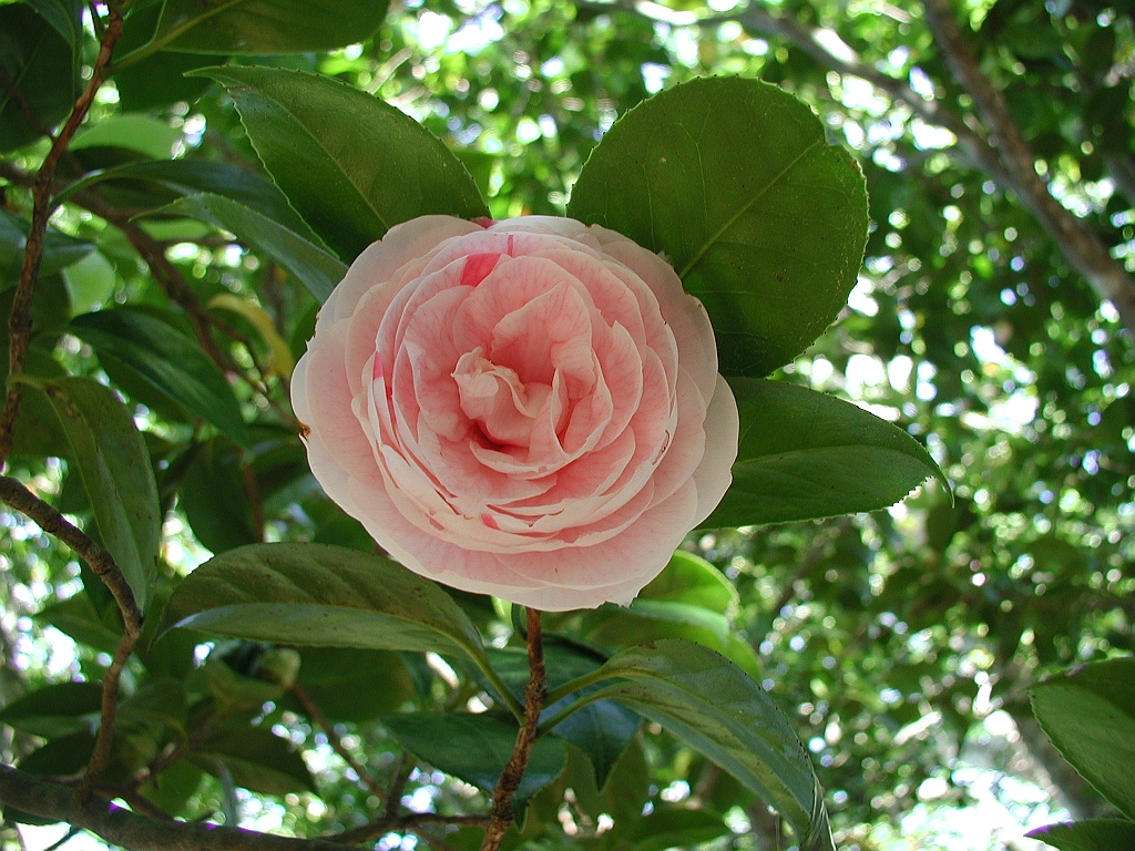 P4270004.JPG